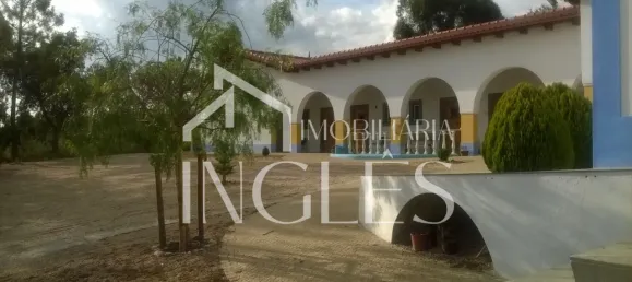 11 bedrooms House in Almeirim, Portugal No. 63118 40