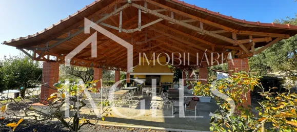 11 bedrooms House in Almeirim, Portugal No. 63118 42