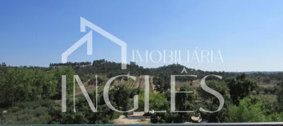 11 bedrooms House in Almeirim, Portugal No. 63118 29