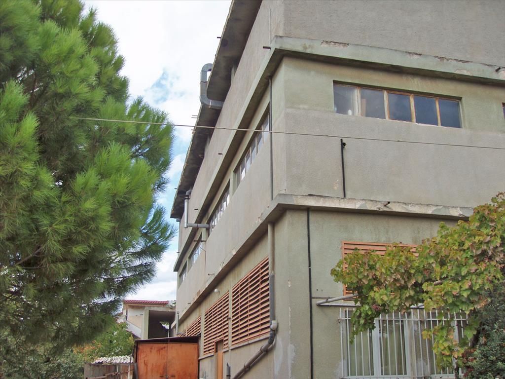 1100m² Property for sale in Agios Stefanos, Dionysos, East Attica, Attica, Greece № 7185