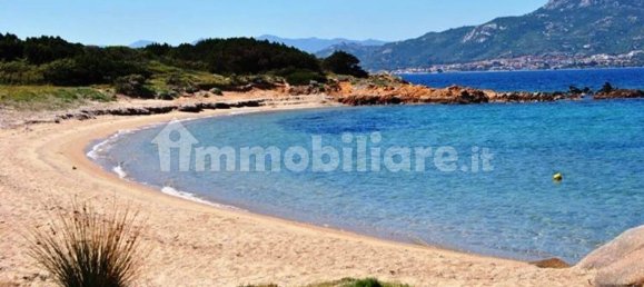 Villa T5 em Arzachena, Italy N.º 261778 31