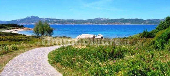 Villa T5 em Arzachena, Italy N.º 261778 30