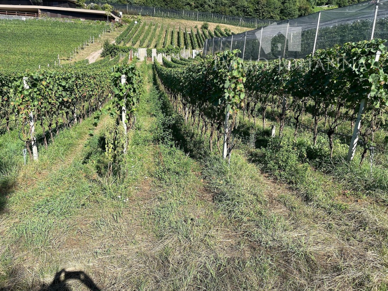 Grundstück in Trentino-Alto Adige, Italy 1751m², Nr. 285604