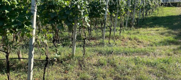 Grundstück in Trentino-Alto Adige, Italy 1751m², Nr. 285604 2