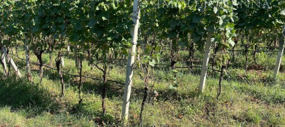 Grundstück in Trentino-Alto Adige, Italy 1751m², Nr. 285604 4