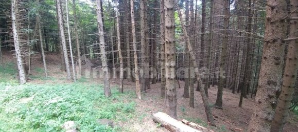 1 Schlafzimmer Haus in Fanano, Italy, Nr. 292845 29