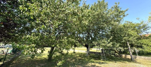 Bungalow de 4 habitaciónes en Grosshoflein, Austria No. 252789 16
