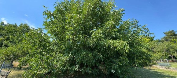 Bungalow de 4 habitaciónes en Grosshoflein, Austria No. 252789 17