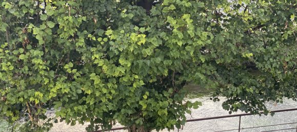 1 chambre Duplex à Chambly, France No. 227713 3