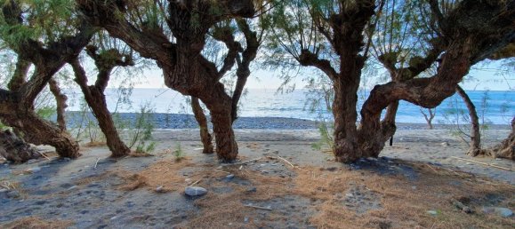 Propiedad en Lasithi, Greece 299 m² No. 4305 3