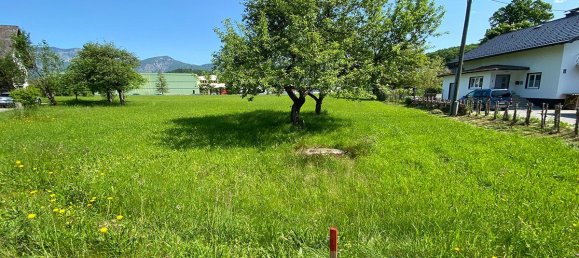  Land in Bad Ischl, Austria No. 127927 6