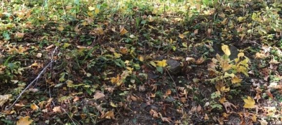 4 chambres Appartement à Fanano, Italy No. 358345 11