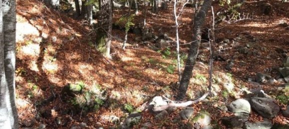 4 chambres Appartement à Fanano, Italy No. 358345 12