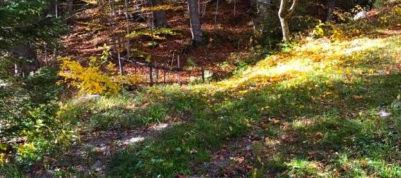 4 chambres Appartement à Fanano, Italy No. 358345 13