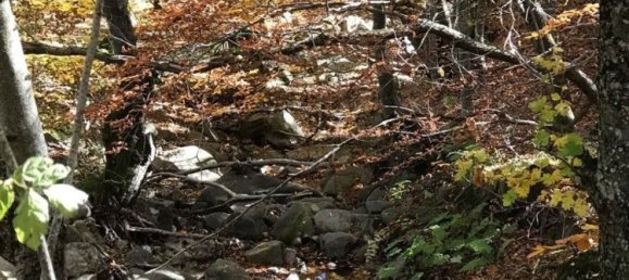 4 chambres Appartement à Fanano, Italy No. 358345 10