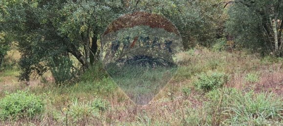 4400m² Land in Vieira do Minho, Portugal No. 33352 2