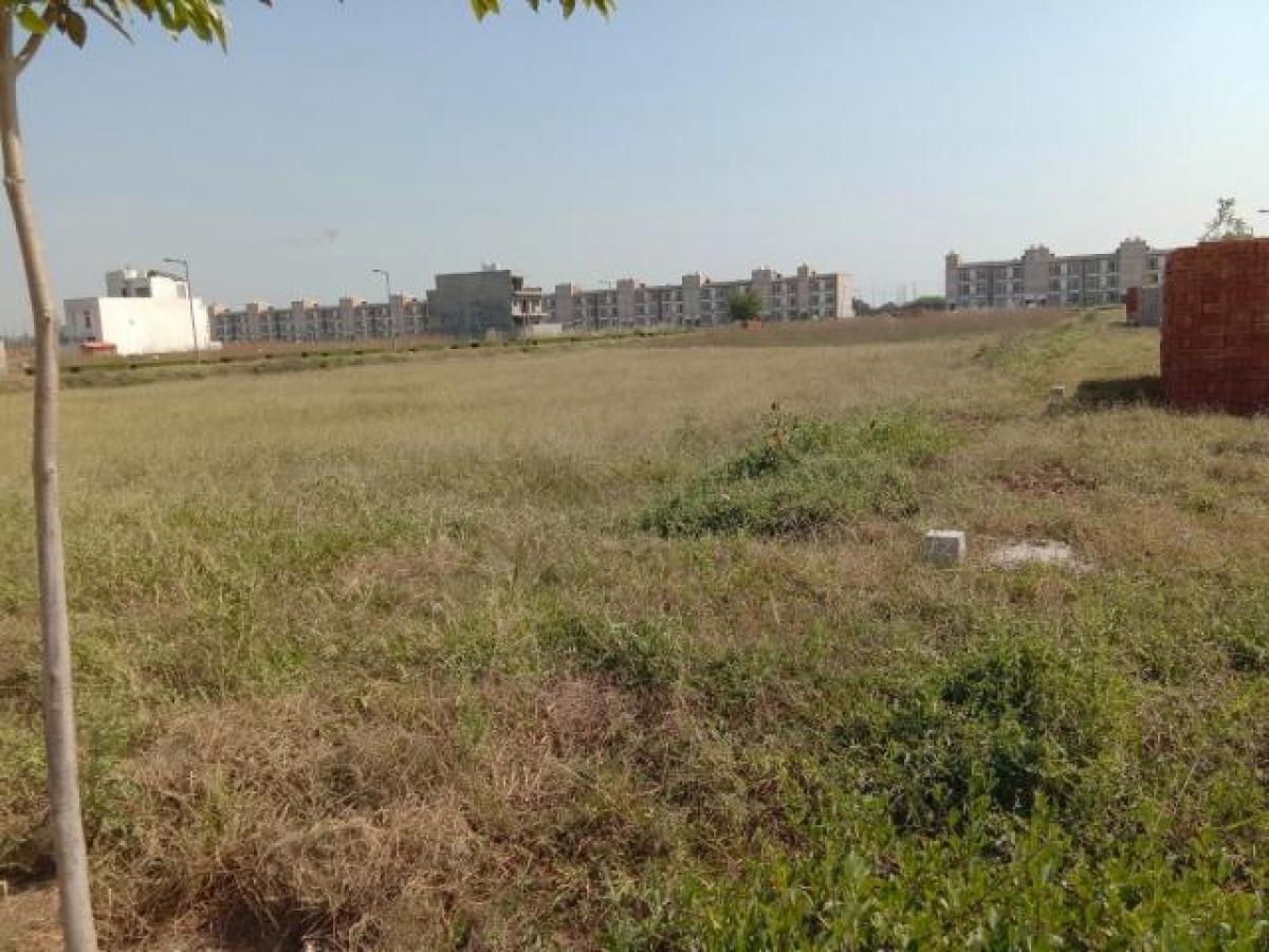 Grundstück in Mohali, India, Nr. 35071