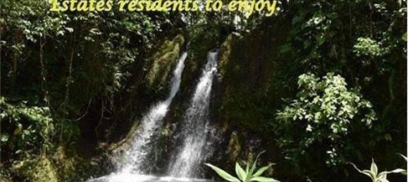 Terreno em Limon, Costa Rica N.º 1549 4