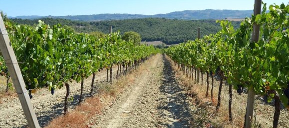 Studio in Fabro, Italy No. 49644 12