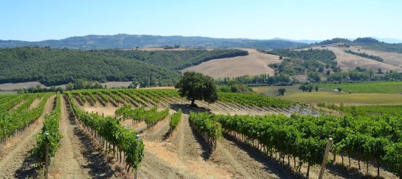 Studio in Fabro, Italy No. 49644 10