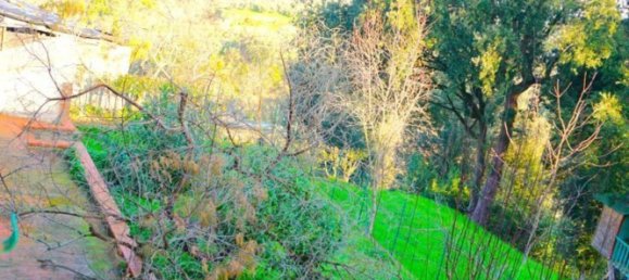 6 rooms House in Palaia, Italy No. 293022 14