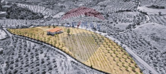 Casa de 3 dormitorios en Alfandega da Fe, Portugal No. 157375 44