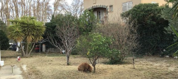 4 bedrooms Villa in Pyrenees-Orientales, France No. 336106 12