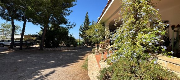 11 bedrooms Villa in Parabita, Italy No. 334503 12