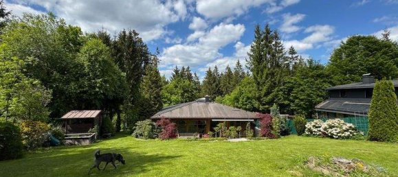 2 rooms House in Hellmonsodt, Austria No. 137617 30