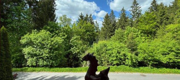 2 rooms House in Hellmonsodt, Austria No. 137617 4