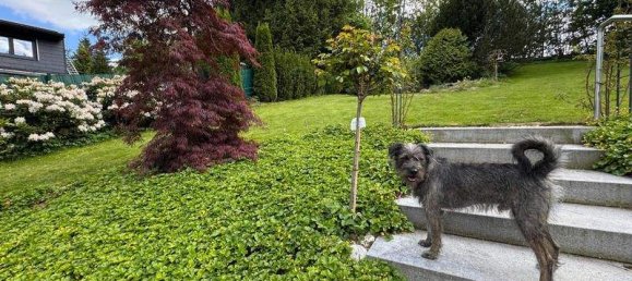 2 rooms House in Hellmonsodt, Austria No. 137617 10