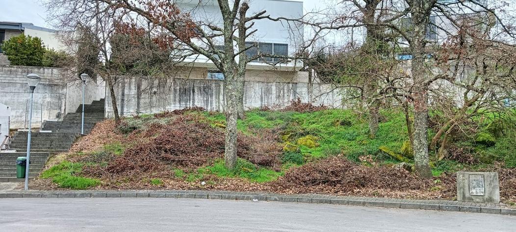  Land in Vila Real, Portugal No. 303789