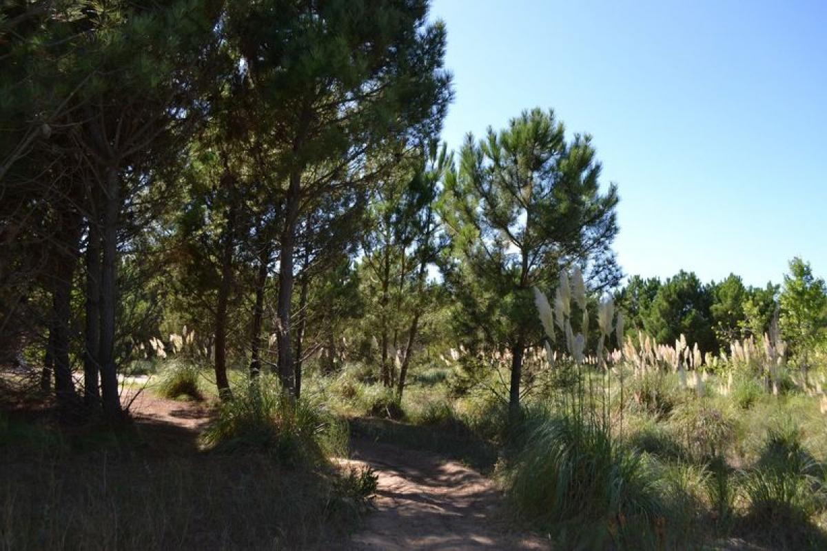 Grundstück in Mar del Plata, Argentina, Nr. 118775