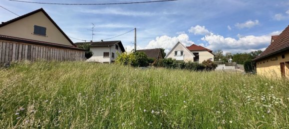  Land in Bruebach, France No. 60844 2