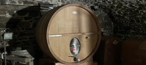 219m² Commercial property in Odenas, France No. 829 2