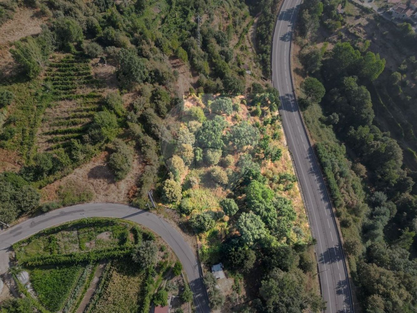  قطعة أرض في Amarante, Portugal رقم 309731