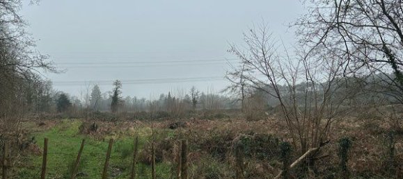  Land in Cerans-Foulletourte, France No. 319270 3