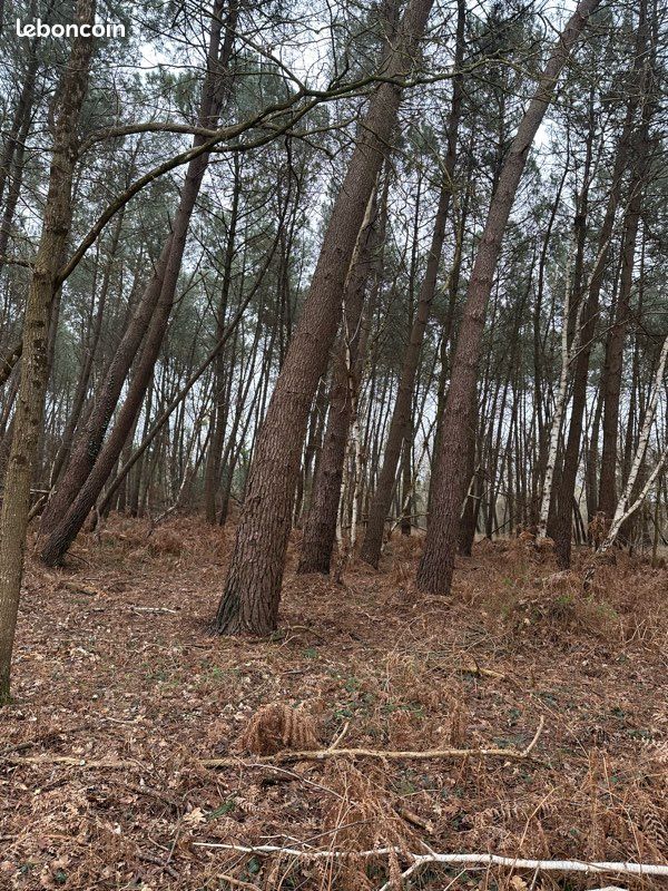  Land in Cerans-Foulletourte, France No. 319270