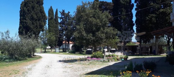 2-Zimmer Wohnung in Suvereto, Italy, Nr. 41738 21