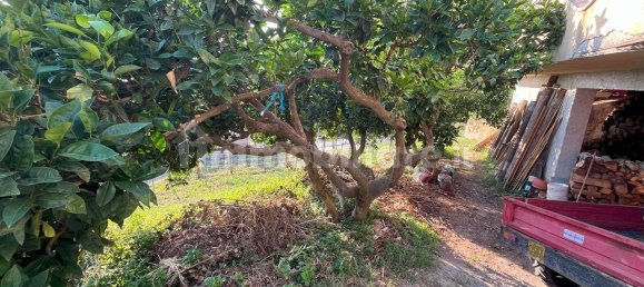 2 bedrooms Villa in Belvedere Marittimo, Italy No. 287249 23