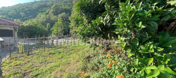 2 bedrooms Villa in Belvedere Marittimo, Italy No. 287249 3