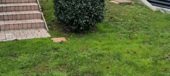 3 rooms House in Vigonza, Italy No. 254997 18