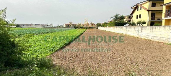 1 room Land in San Tammaro, Italy No. 121662 2