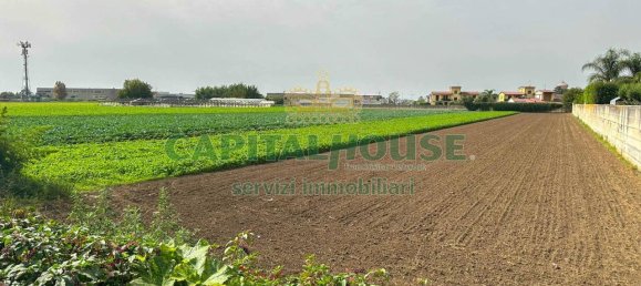 1 room Land in San Tammaro, Italy No. 121662 4