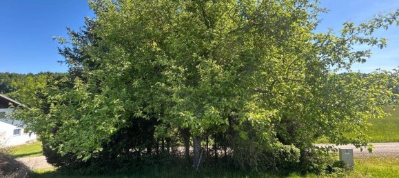 Terreno en Schalchen, Austria 1021 m² No. 134330 9