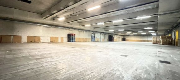 1400m² Warehouse in Suno, Italy No. 379712 5