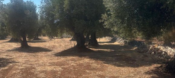 Land in Ostuni, Italy No. 332895 11