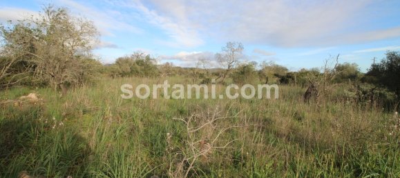 Terreno em São Bartolomeu de Messines, Portugal 24080 m² N.º 82010 2