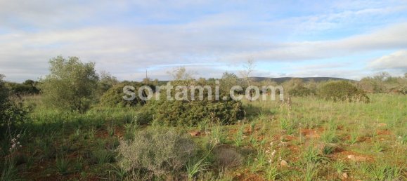 Terreno em São Bartolomeu de Messines, Portugal 24080 m² N.º 82010 6