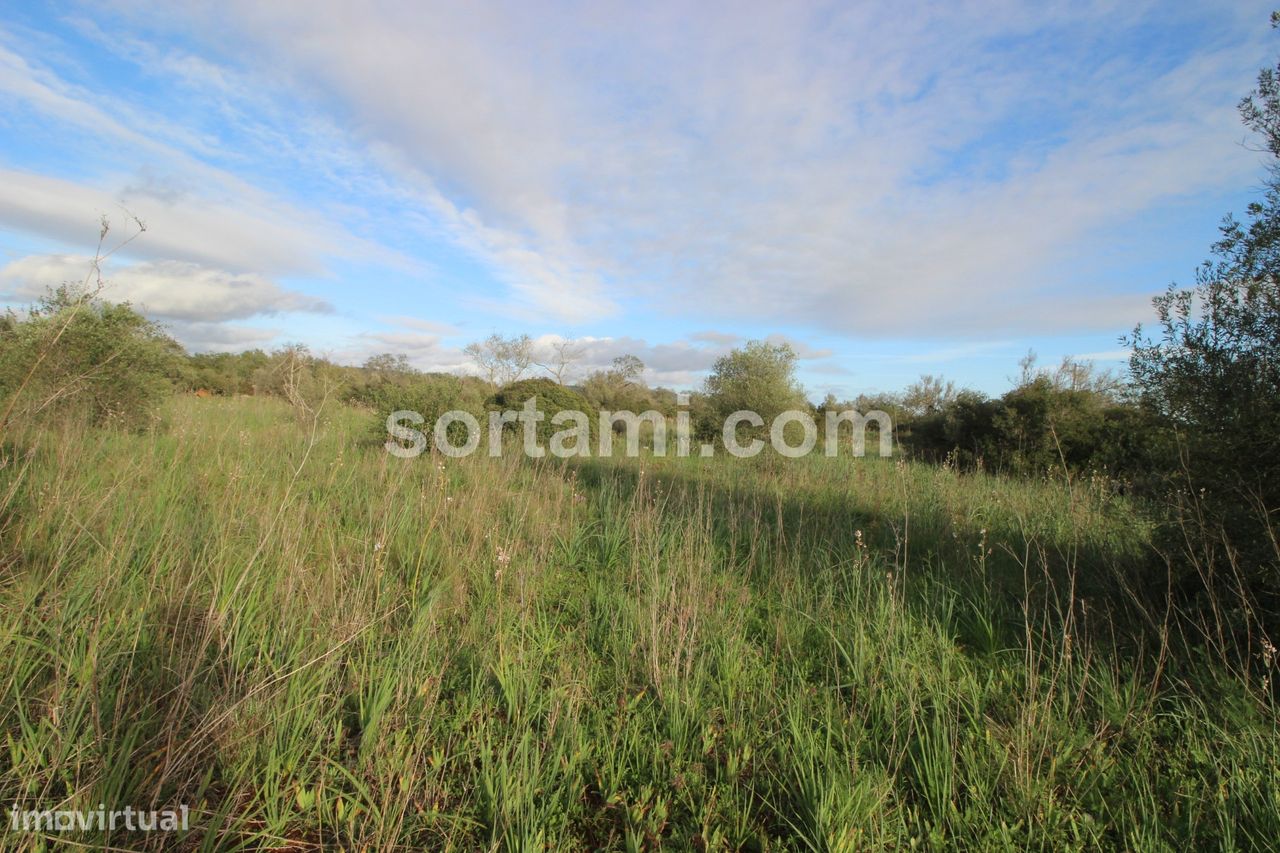 Terreno em São Bartolomeu de Messines, Portugal 24080 m² N.º 82010